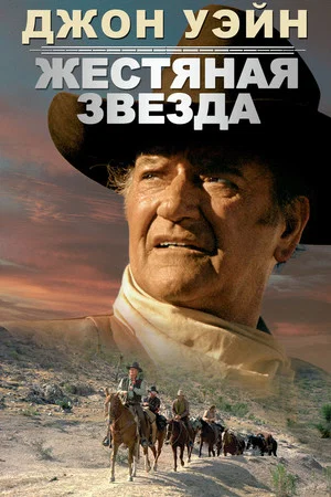 Постер: Жестяная звезда