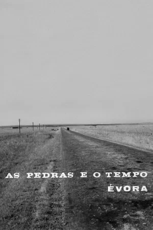 Постер: As Pedras e o Tempo