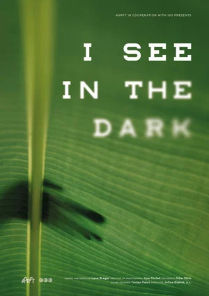 Постер: I See in the Dark