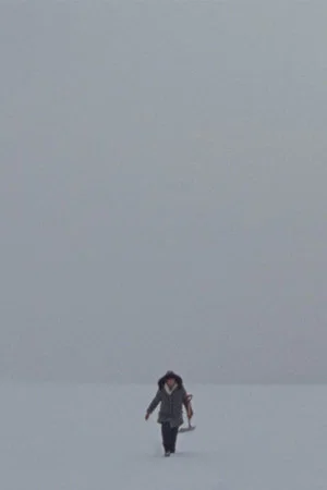 Постер: Lake