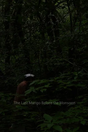 Постер: The Last Mango Before the Monsoon