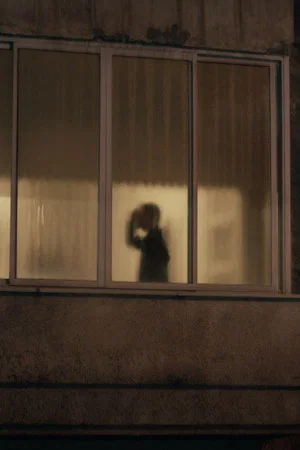 Постер: Shadow Puppets