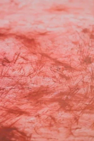 Постер: Until My Fingers Bleed