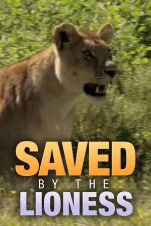 Постер: Saved by the Lioness