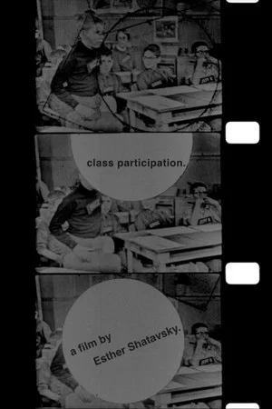 Постер: Class Participation