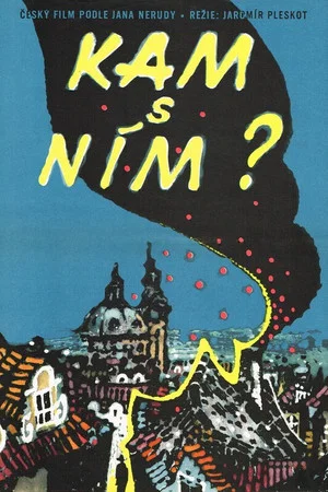 Постер: Kam s ním?