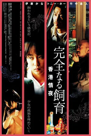 Постер: Perfect Education 3