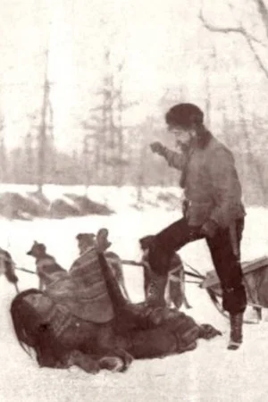 Постер: At the End of the Trail
