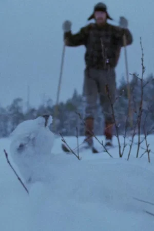 Постер: Tapiola