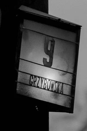 Постер: For Example, 9 Grzybowska Street
