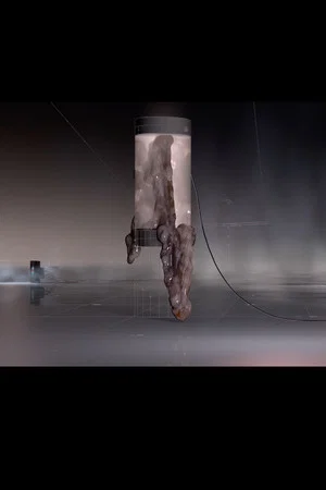 Постер: House of Skin