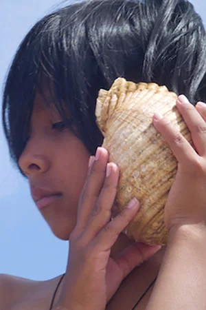 Постер: Time and the Seashell