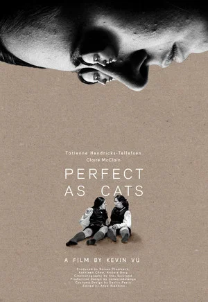 Постер: Perfect as Cats
