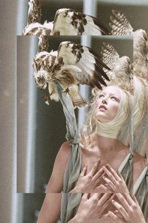 Постер: McQueen and I