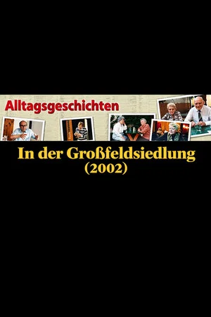 Постер: Alltagsgeschichte – In der Großfeldsiedlung