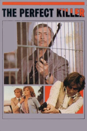 Постер: The Perfect Killer