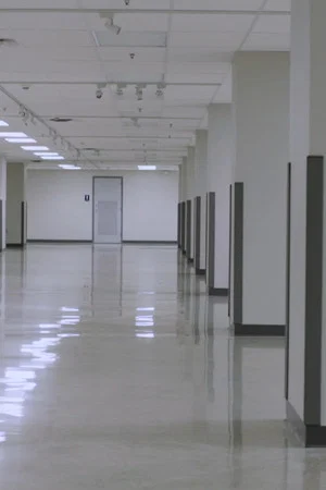 Постер: There is Nothing Underneath the West Virginia Wing