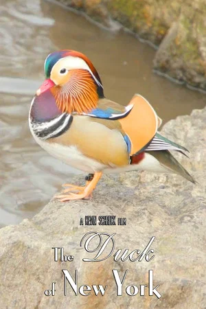 Постер: The Duck of New York