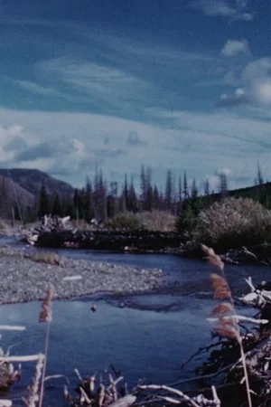 Постер: Concerto for Water, Sun and Wilderness