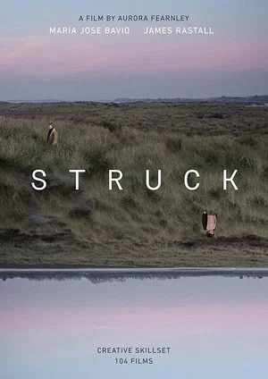 Постер: Struck