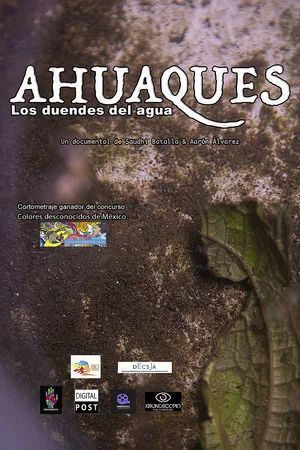 Постер: Ahuaques, the water elves