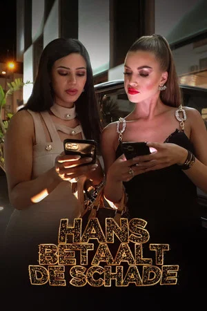 Постер: Hans Betaalt De Schade