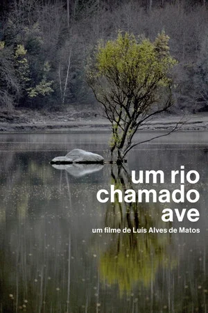 Постер: Um Rio Chamado Ave