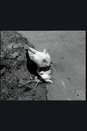 Постер: The Delmarva Chicken of Tomorrow