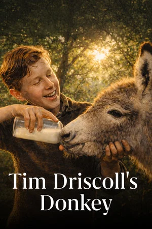 Постер: Tim Driscoll's Donkey