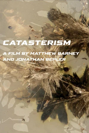 Постер: Catasterism