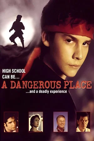 Постер: A Dangerous Place