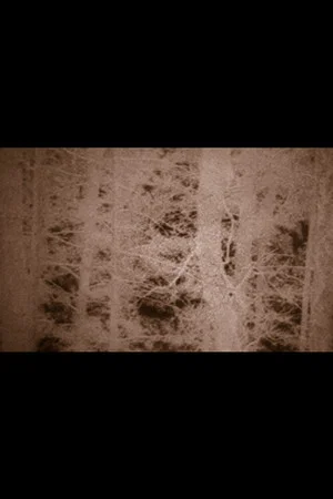 Постер: The Hollow Mountain