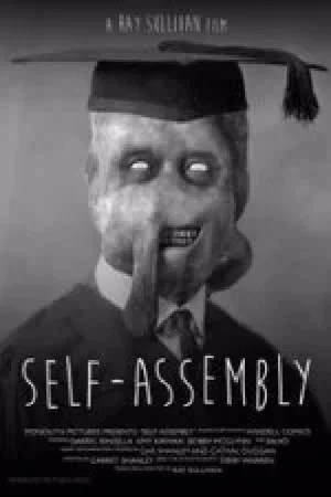 Постер: Self-Assembly