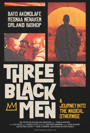 Постер: Three Black Men