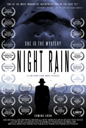 Постер: Night Rain