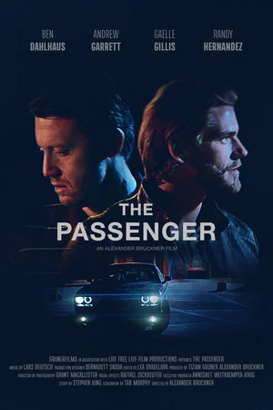 Постер: The Passenger