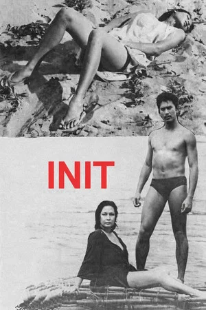 Постер: Heat