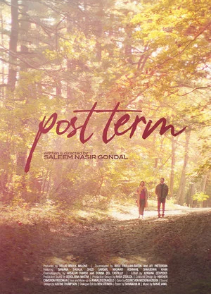 Постер: Post Term