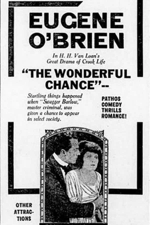 Постер: The Wonderful Chance