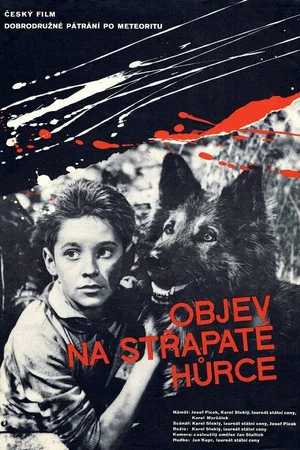 Постер: Objev na Střapaté hůrce