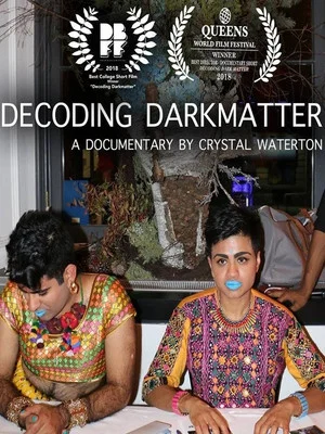 Постер: Decoding DarkMatter