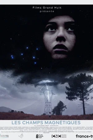 Постер: Magnetic Fields