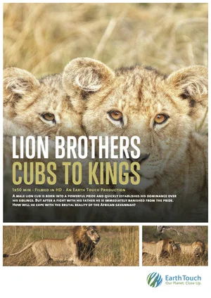 Постер: Lion Brothers: Cubs to Kings