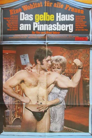 Постер: Das gelbe Haus am Pinnasberg