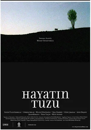 Постер: Hayatın Tuzu