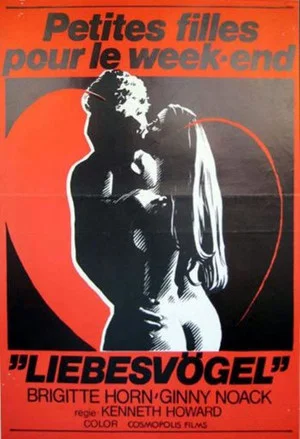 Постер: Die Liebesvögel - Küss mich da, wo ich es mag...