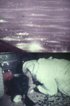 Постер: ALONE IN THE WIND