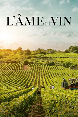 Постер: L'Âme du vin