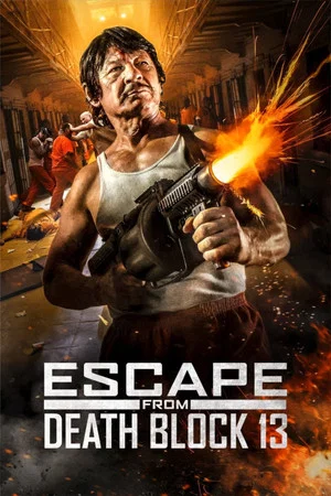 Постер: Escape from Death Block 13