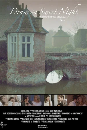 Постер: Draw on Sweet Night